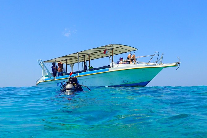 Menjangan island for Certified Scuba Divers full day boat trip, 2 dives + lunch - Why Menjangan Island is worth the boat ride