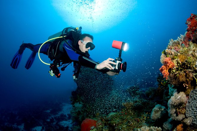 Menjangan island for Certified Scuba Divers full day boat trip, 2 dives + lunch - The real price, including the extras