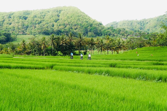 Menoreh Village Cycling - Why Nanggulan makes a better bike ride than a city circuit