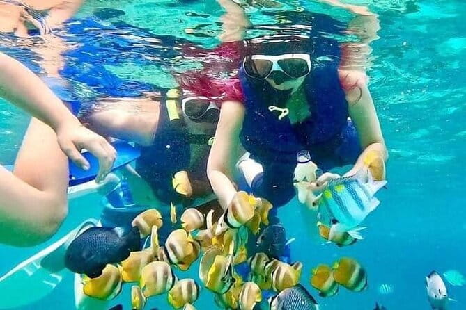 Monkey Bar and snorkling adventure at blue lagoon. - Blue Lagoon makes the morning about the water