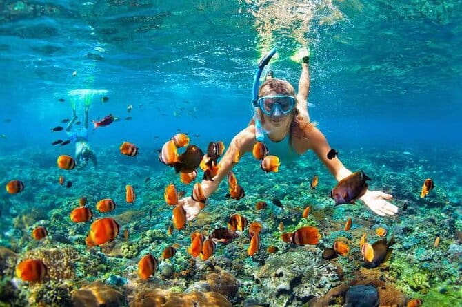 Monkey Bar and snorkling adventure at blue lagoon. - Practical advice for making the day work