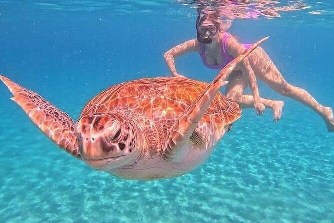 Monkey Bar and snorkling adventure at blue lagoon. - Monkey Bar at Bella Vista changes the mood