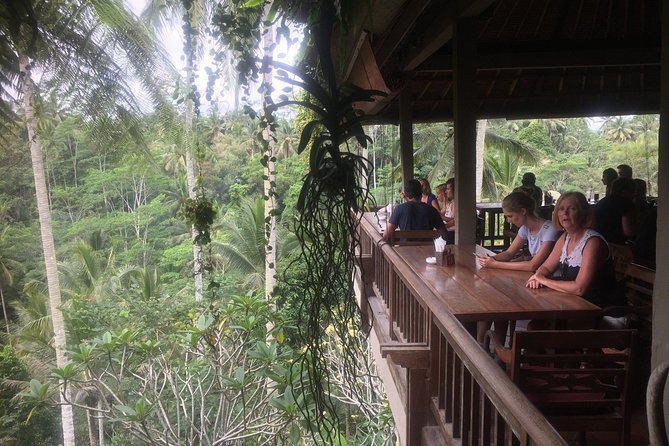 Monkey Forest, Ubud, Waterfall and Rice Terrace - What this private Ubud day is really like