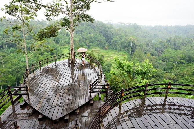 Monkey Forest, Ubud, Waterfall and Rice Terrace - Uma Pakel Agro Tourism: coffee, education, and a possible sales stop
