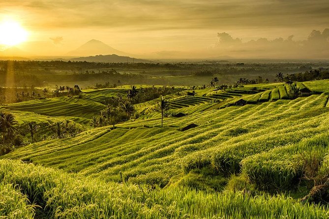More Complete: Discover Bali In 3 Days Private Tour Package - What the private guide adds to the experience