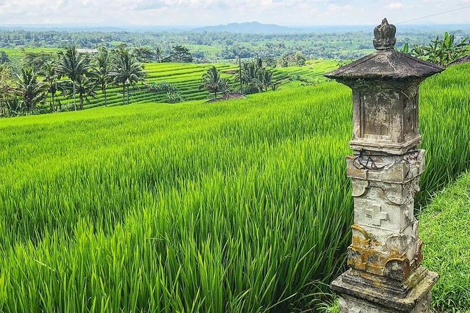 More Complete: Discover Bali In 3 Days Private Tour Package - How demanding are the three days?