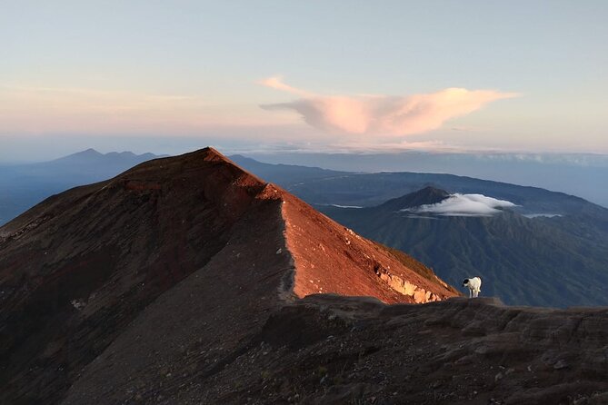 Mount Batur Sunrise Trekking, Hot Springs & Lunch at Restaurant - Buffet lunch at Batur Sari with volcano views