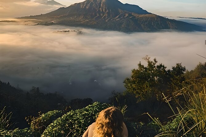 Mount Batur Sunrise Trekking with Natural Hot Spring - The coffee plantation stop at about 11:30 AM