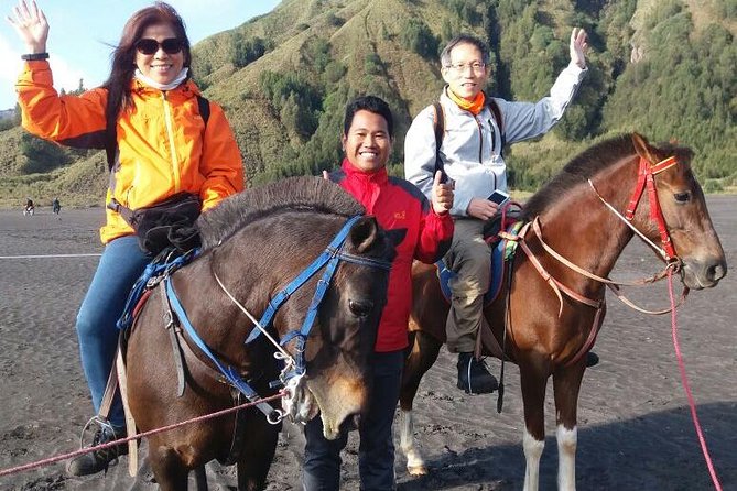 Mount Bromo & Ijen & Madakaripura Waterfall Tour (3D2N) - Day 2: Bromo sunrise from Penanjakan 1