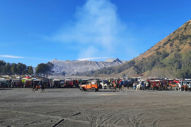 Mount Bromo Private Sunrise Tour (1 Day) - From Surabaya - Breakfast, coffee, and the return to Surabaya