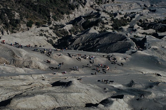Mount Bromo Public Sunrise Tour - From Malang - Who will enjoy this Bromo morning most