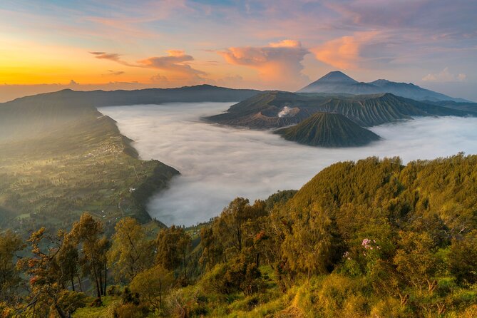 Mount Bromo Sunrise – Exclusive Guided Tour (All-Inclusive) - The long ride back to Malang or Surabaya