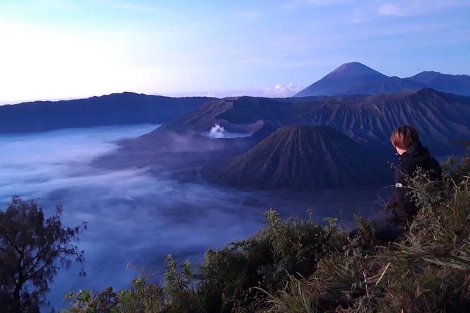 Mount Bromo Sunrise Tour from Surabaya or Malang - 1 Day - The real appeal of a Mount Bromo sunrise
