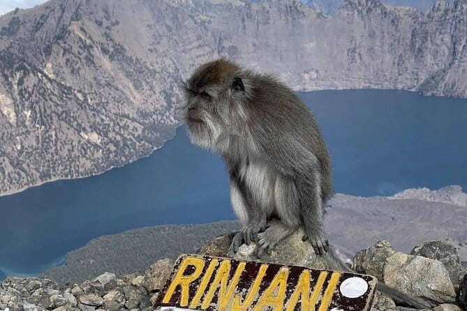 Mount Rinjani 2D 1N trekking to summit - Park rules and the risk of access changes