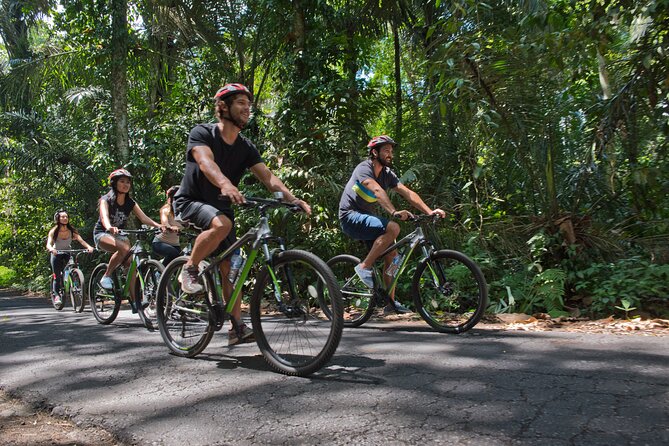 Mountain Cycling Tour - Fruit, spices, temples, and the Taro bamboo forest