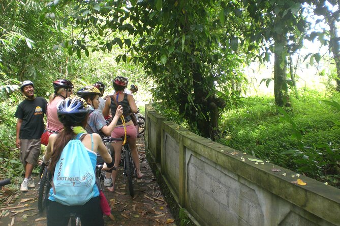 Mountain Cycling Tour - How much value do you get for $57?