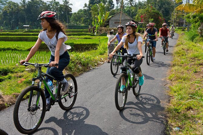 Mountain Cycling Tour - The early pickup and ride into central Bali