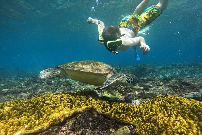 No:#1. Penida Island Tour And Snorkeling With Manta - Gamat Bay, Wall Bay Point, and the reef stops