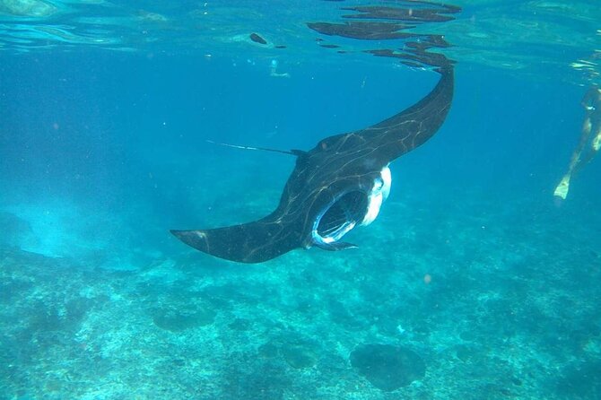 No:#1. Penida Island Tour And Snorkeling With Manta - Gear, photos, and comfort in the water