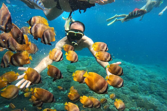 No:#1. Penida Island Tour And Snorkeling With Manta - Is $67.75 a fair price?