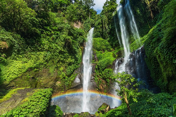 North Bali: Sekumpul Waterfalls and Ulun Danu Temple Tour - What the $22.50 price really buys you
