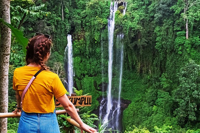 North Bali: Sekumpul Waterfalls and Ulun Danu Temple Tour - The people who make the day work