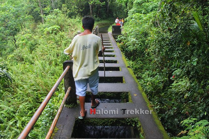 North Lombok Waterfalls - Tiu Kelep Waterfall and the jungle route