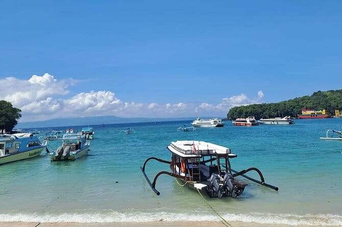 Northern Bali Highlights + Unesco Scenic Heritage Rice Terrace. - Why this route works for seeing northern Bali