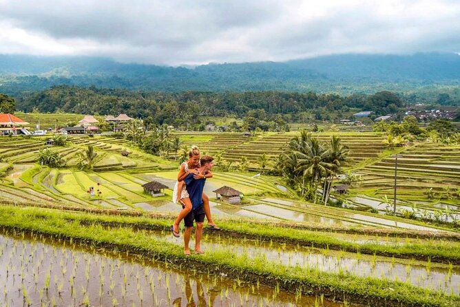 Northern Bali Tour - Private Full Day Tour - All Inclusive - Why this route works for a first look at northern Bali