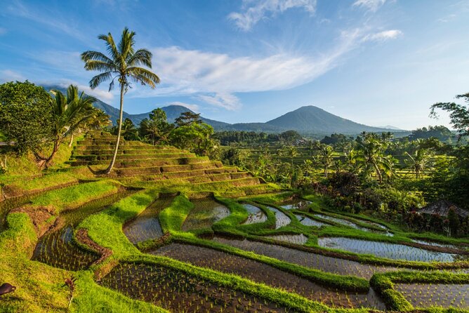 Northern Bali Tour - Private Full Day Tour - All Inclusive - Ulun Danu Beratan beside the mountain lake