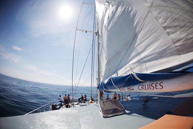 Nusa Lembongan: Island Discovery Cruise - Who should book this cruise?