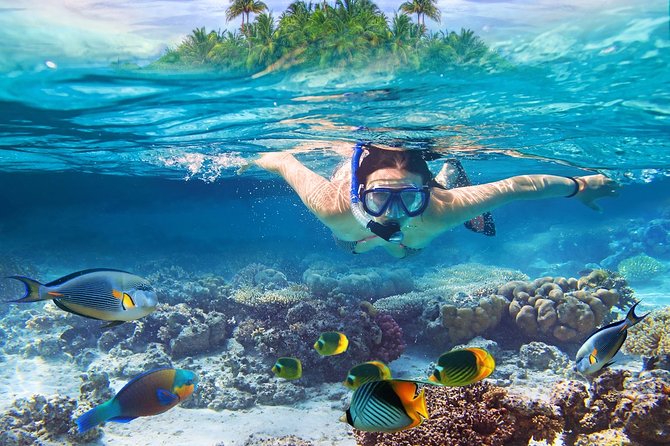 Nusa Lembongan Island: Snorkeling & Mangrove Forest Day Tour - Key points to know before booking