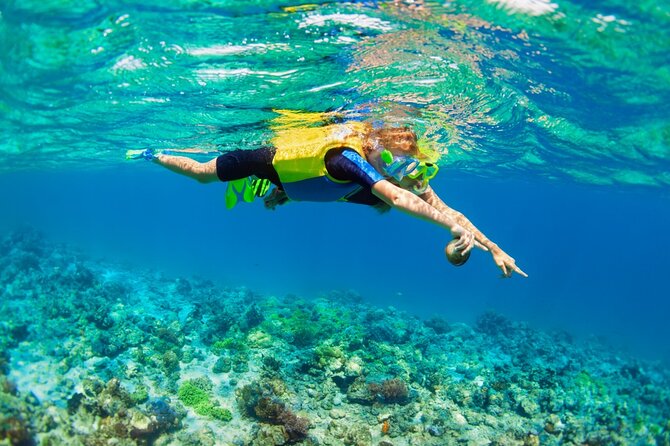 Nusa Lembongan Island: Snorkeling & Mangrove Forest Day Tour - Snorkeling over Lembongan’s coral reef