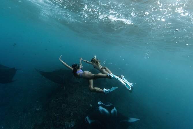 ️Nusa Penida by Private Boat - Snorkeling 4 spots, Swim with Mantas + Land Tour - Key points to know before booking