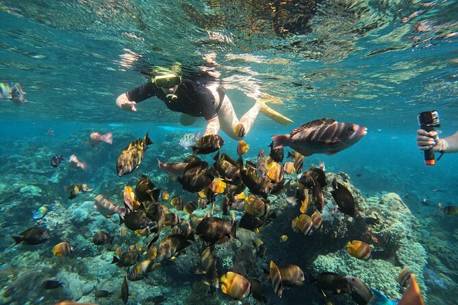 Nusa-Penida customize Tour - All inclusive - Roads, traffic, and the guide