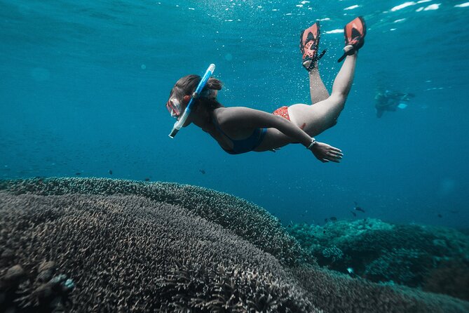 Nusa Penida day trip: boat, 4 snorkeling, Manta rays & Land tour - Starting at Sanur Before the Crowds