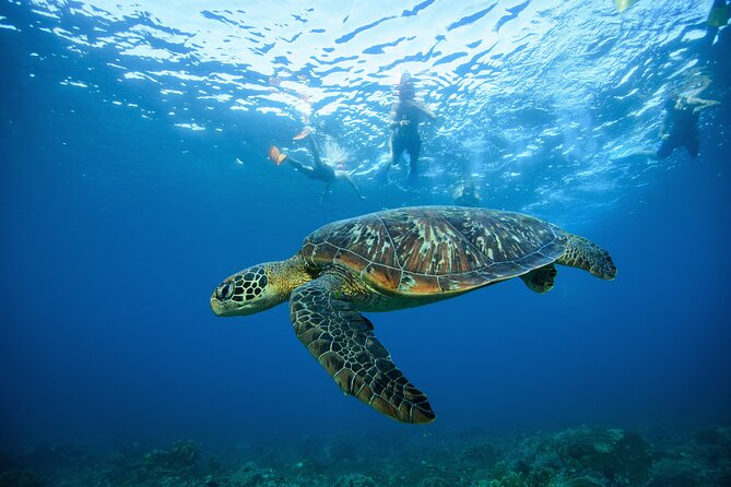 Nusa Penida day trip: boat, 4 snorkeling, Manta rays & Land tour - Wall Bay and the Final Manta Search