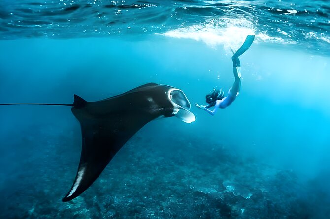 Nusa Penida Island Beach Tour With Snorkeling - Departure From Bali Island - Key points at a glance