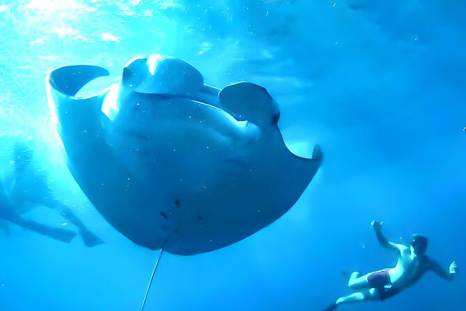 Nusa Penida Island Beach Tour With Snorkeling - Departure From Bali Island - Manta Bay depends on nature