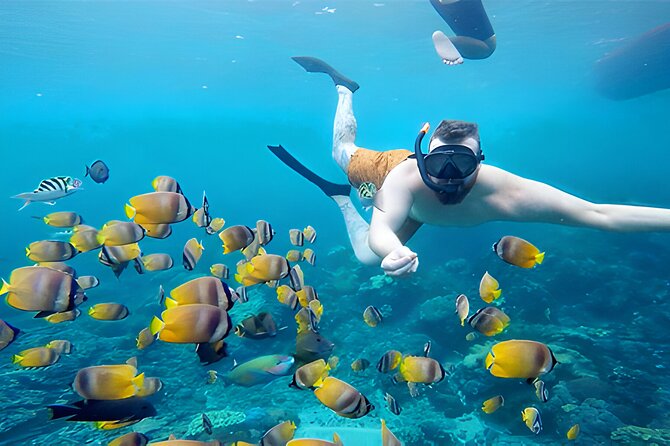 Nusa Penida Island Beach Tour With Snorkeling - Departure From Bali Island - Crystal Bay rounds out the snorkeling