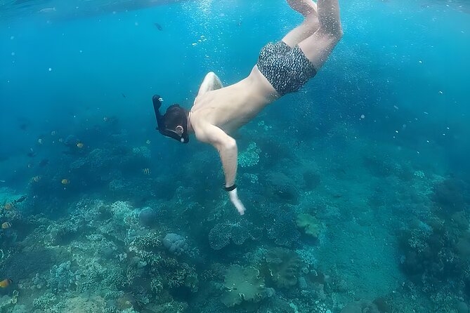 Nusa Penida Island Beach Tour With Snorkeling - Departure From Bali Island - Lunch is practical, not the main event