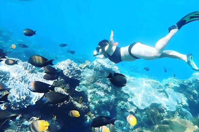 Nusa Penida Island Beach Tour With Snorkeling - Departure From Bali Island - Gamat Bay starts the water portion