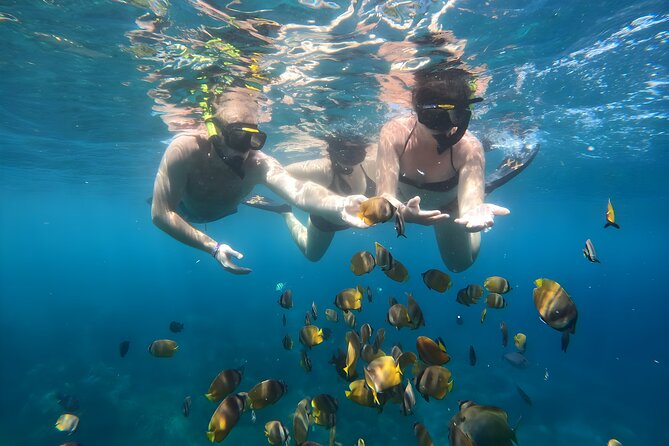Nusa Penida Island Beach Tours with Snorkeling From Bali - Gamat Bay, a quieter snorkeling start