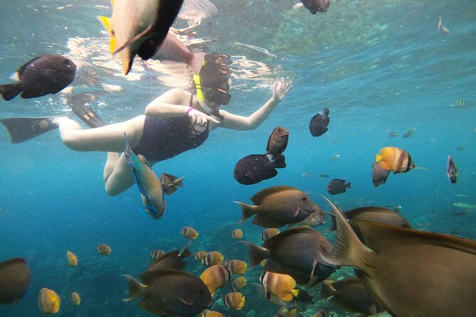 Nusa Penida Land Tour and 4 Points Snorkeling with Manta - The guide can make the schedule work