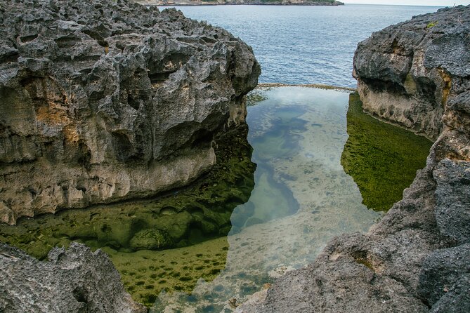 Nusa Penida One Day Trip to Instagrammable Spot by Penidago - Starting at Sanur Harbour