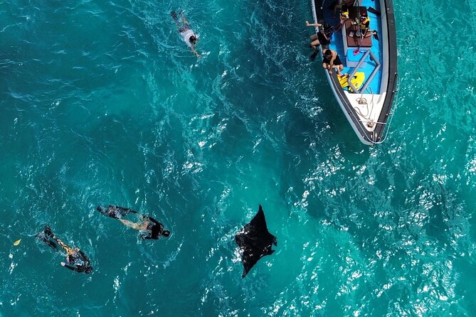 Nusa Penida Private Snorkeling and West Tour Start from Bali - Why the manta-ray stop shapes the whole day