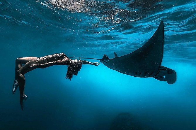 Nusa Penida Snorkeling Adventure (Private & All-Inclusive) - From your Bali hotel to Sanur Beach