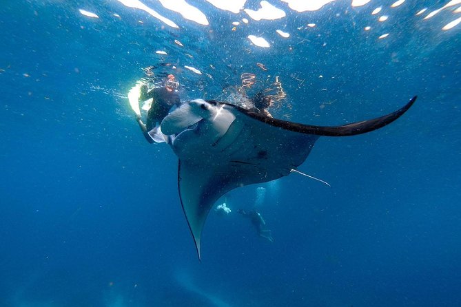 Nusa Penida Snorkeling Adventure (Private & All-Inclusive) - Lunch with an island view