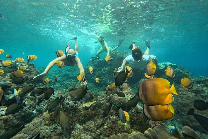 Nusa Penida : Snorkeling Trip Manta Point, Gamat Bay and Wall Bay - Three underwater stops, with manta rays up first