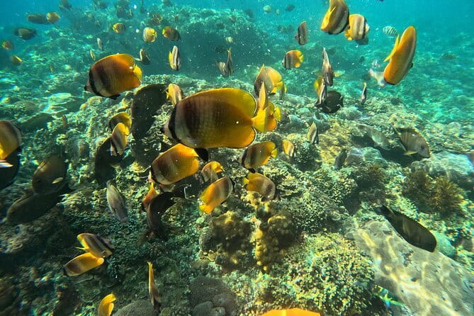 Nusa Penida : Snorkeling Trip Manta Point, Gamat Bay and Wall Bay - Meeting the water at Manta Point